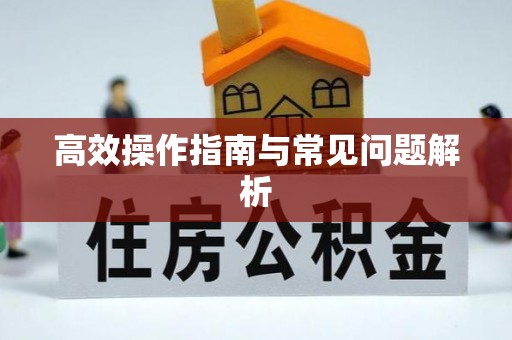 牡丹江高效操作指南与常见问题解析