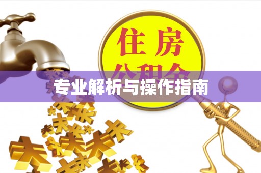 牡丹江专业解析与操作指南