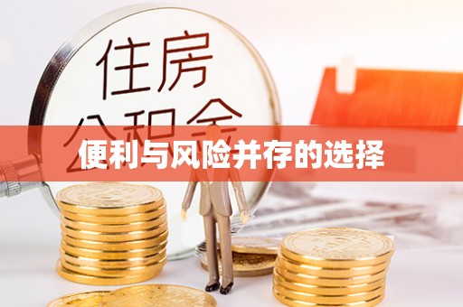 牡丹江便利与风险并存的选择