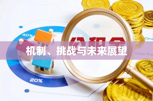 牡丹江机制、挑战与未来展望