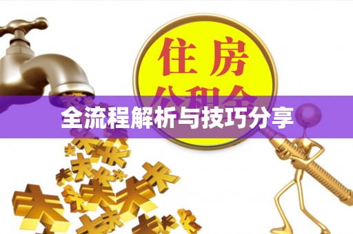 牡丹江全流程解析与技巧分享